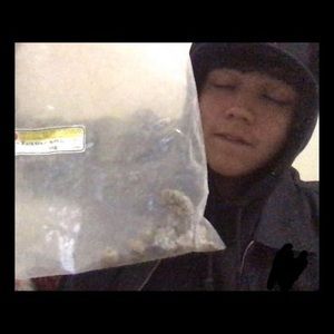 Meet your Posher, Terrence